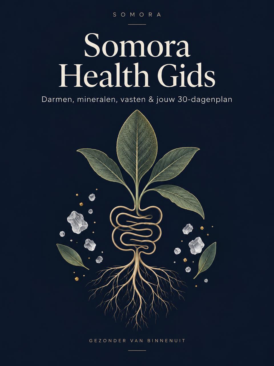 Cover van Somora Health Gids